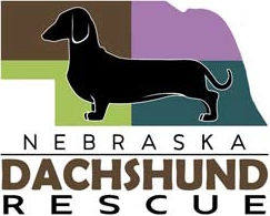 Nebraska Dachshund Rescue