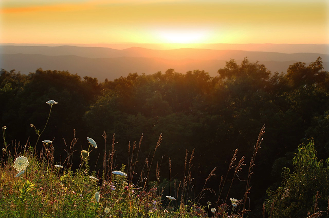 Shenandoah Valley National Park at sunset
