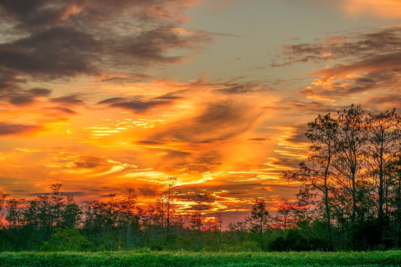 Sunset over the Florida Everglades National Park